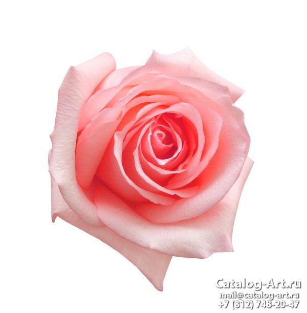 Натяжные потолки с фотопечатью - Розовые розы 37